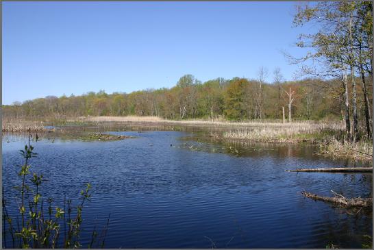 HattertownPond